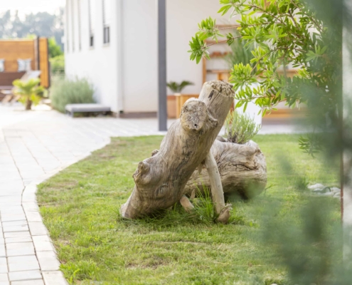 Kiteriders Garden Villas, Montenegro, Garten, Unterkunft für Kiter